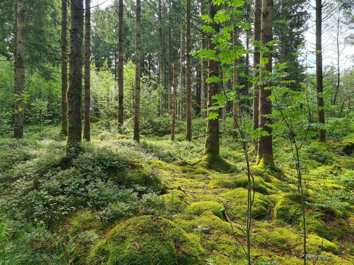 Stuga I Naturen Simlångsdalen Exterior foto
