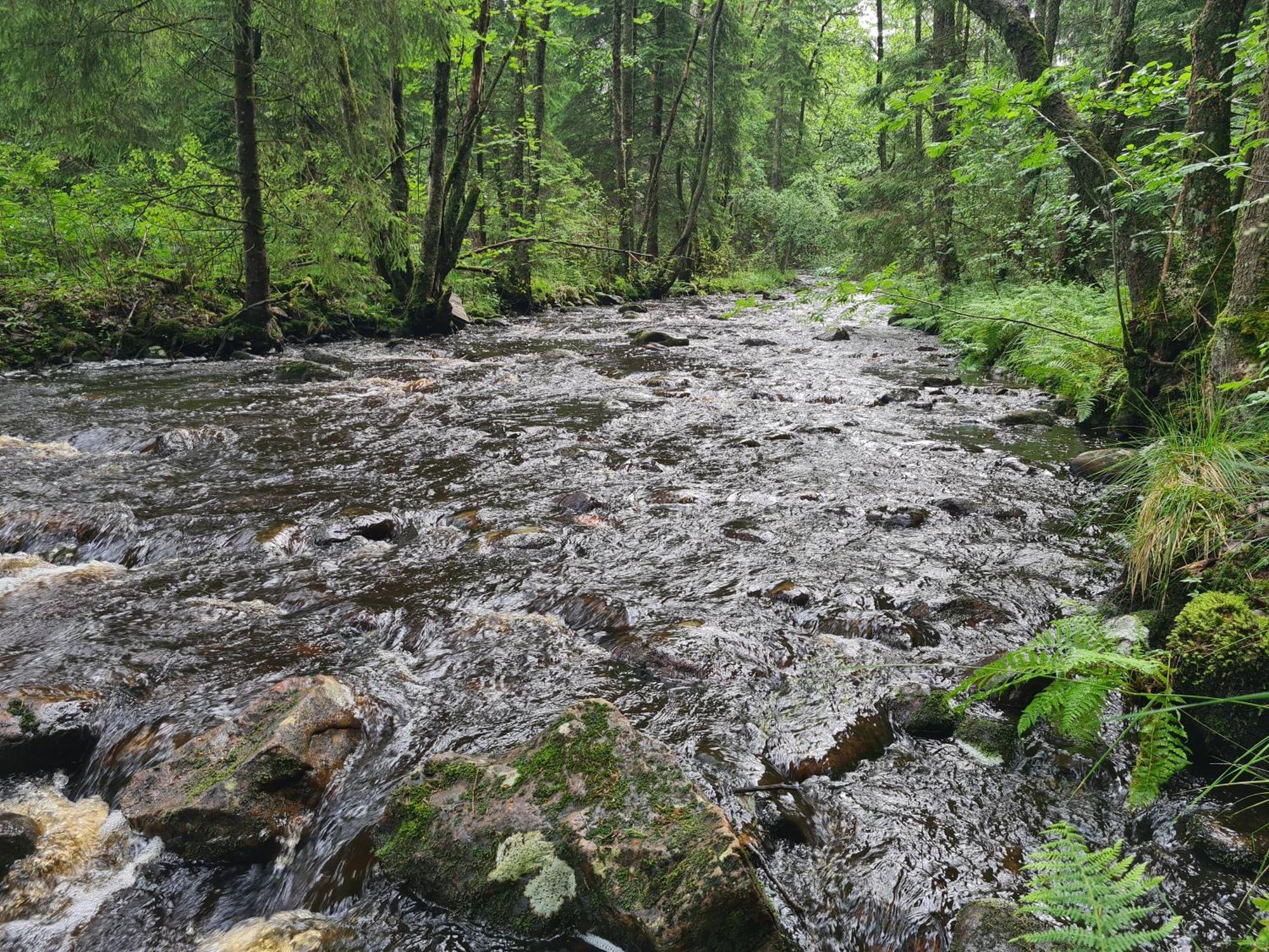 Stuga I Naturen Simlångsdalen Exterior foto